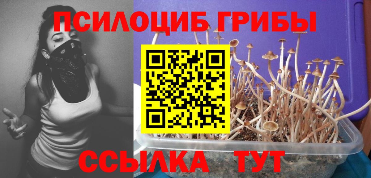 Галлюциногенные грибы GOLDEN TEACHER Абинск